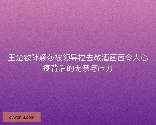 王楚钦孙颖莎被领导拉去敬酒画面令人心疼背后的无奈与压力 王楚钦孙颖莎被领导拉去敬酒画面令人心疼背后的无奈与压力