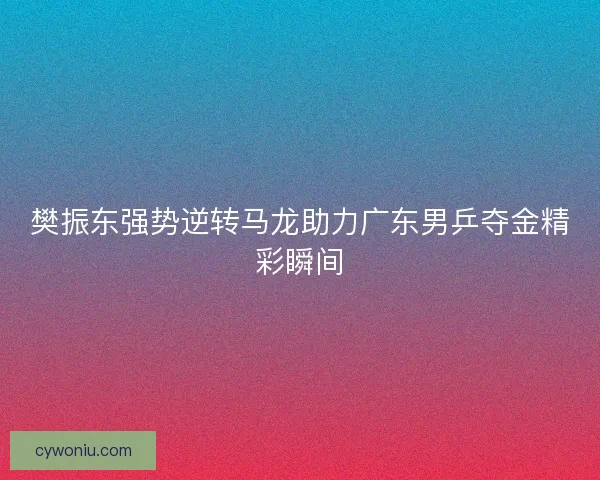 樊振东强势逆转马龙助力广东男乒夺金精彩瞬间