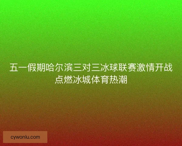 五一假期哈尔滨三对三冰球联赛激情开战点燃冰城体育热潮